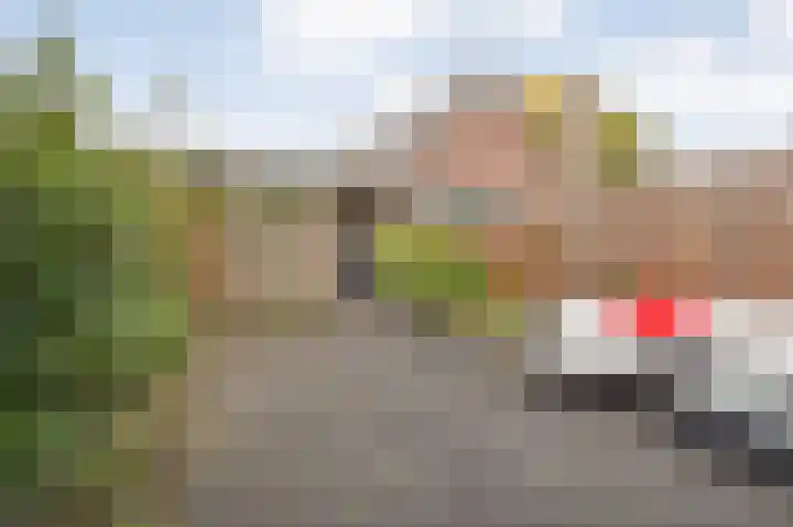 Linzen-oord 76 Houten thumbnail 50