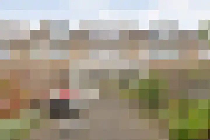 Linzen-oord 76 Houten thumbnail 51