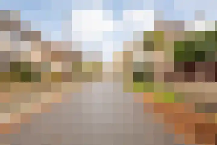 Linzen-oord 76 Houten thumbnail 55