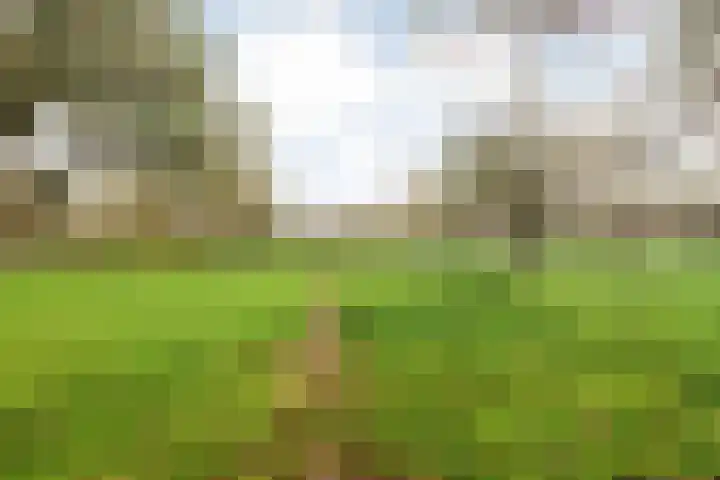Linzen-oord 76 Houten thumbnail 56