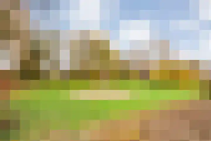 Linzen-oord 76 Houten thumbnail 57