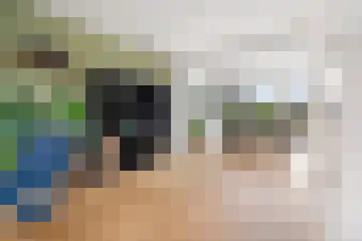Linzen-oord 76 Houten thumbnail 7