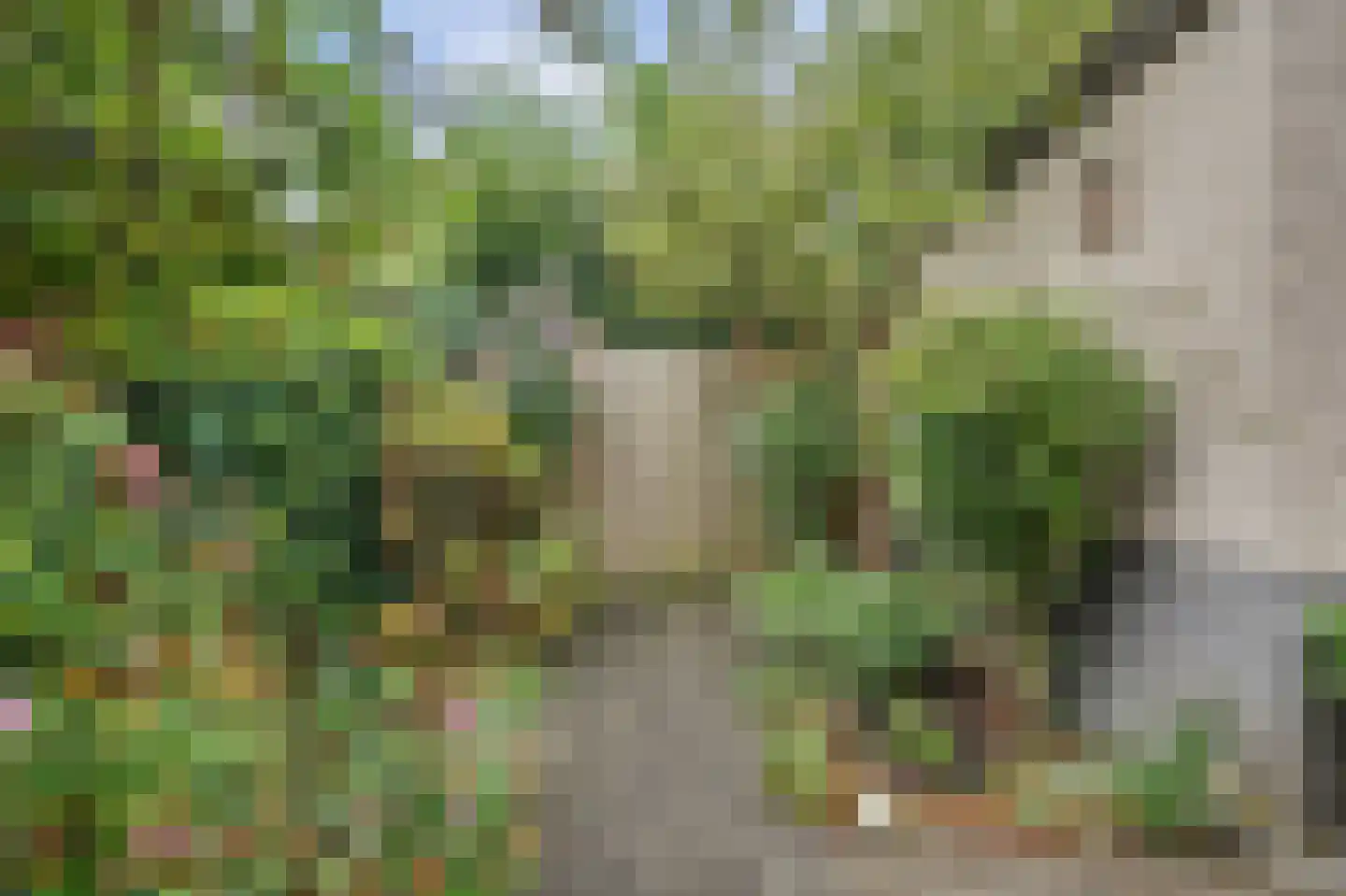 Linzenakker 13 Schiedam thumbnail 27