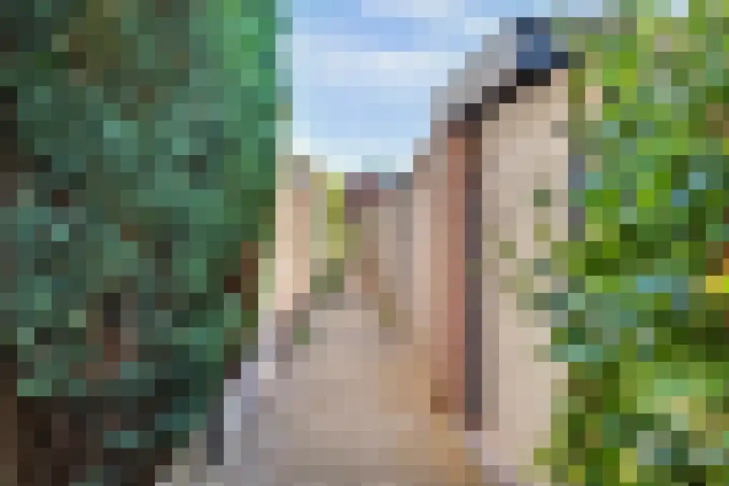 Linzenakker 13 Schiedam thumbnail 37