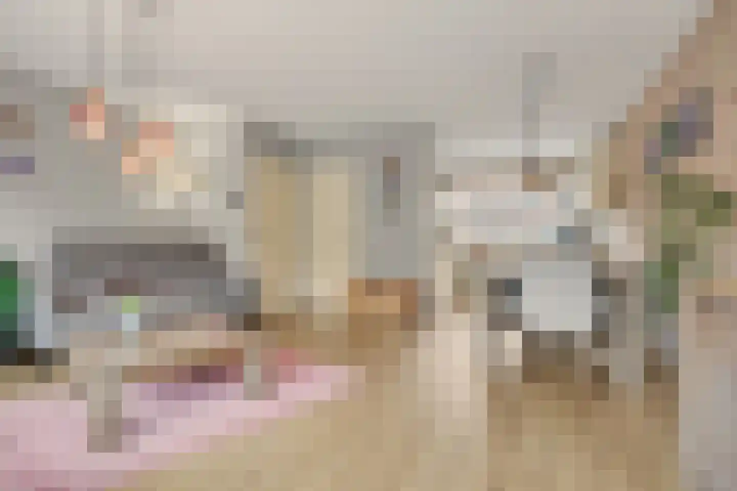 Linzenakker 13 Schiedam thumbnail 8