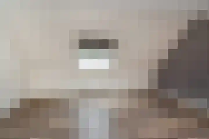 Linzenakker 32 Waddinxveen thumbnail 19