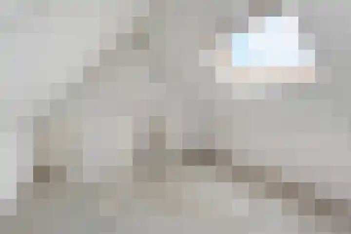 Linzenakker 32 Waddinxveen thumbnail 27