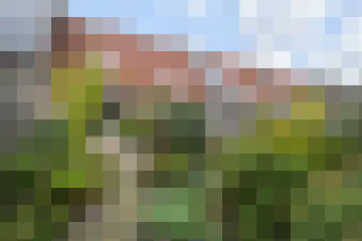 Linzenakker 32 Waddinxveen thumbnail 28