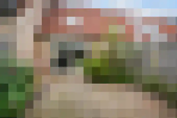 Linzenakker 32 Waddinxveen thumbnail 29