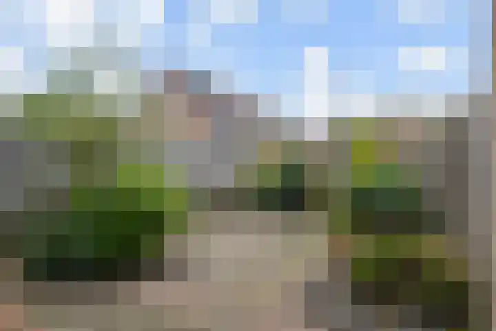 Linzenakker 32 Waddinxveen thumbnail 30