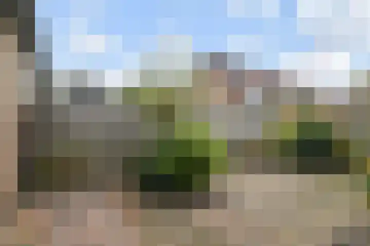 Linzenakker 32 Waddinxveen thumbnail 31