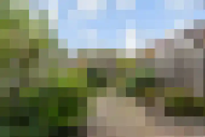 Linzenakker 32 Waddinxveen thumbnail 32