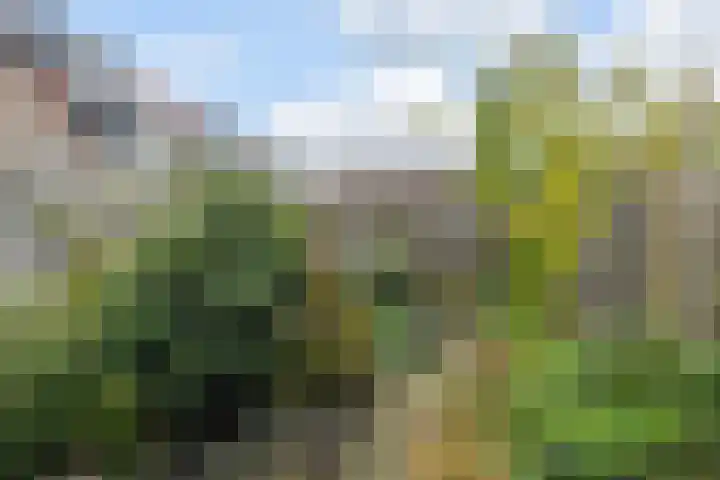 Linzenakker 32 Waddinxveen thumbnail 33