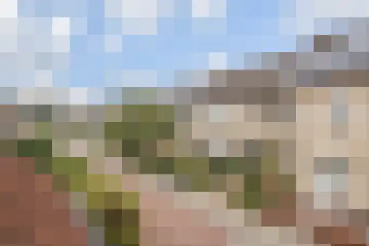 Linzenakker 32 Waddinxveen thumbnail 36