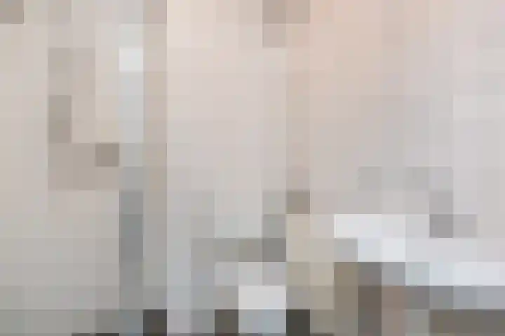 Linzenakker 32 Waddinxveen thumbnail 4