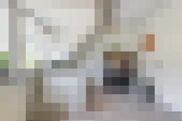 Linzenakker 4 Waddinxveen thumbnail 19