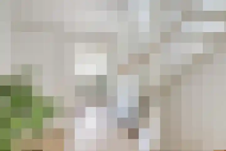 Linzenakker 4 Waddinxveen thumbnail 22