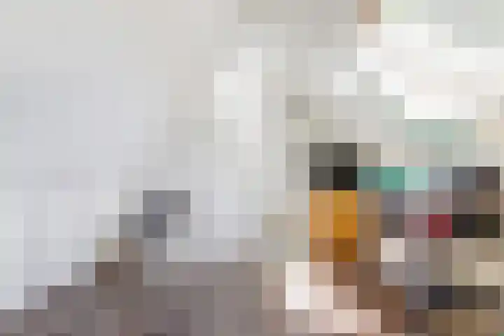 Linzenakker 4 Waddinxveen thumbnail 24