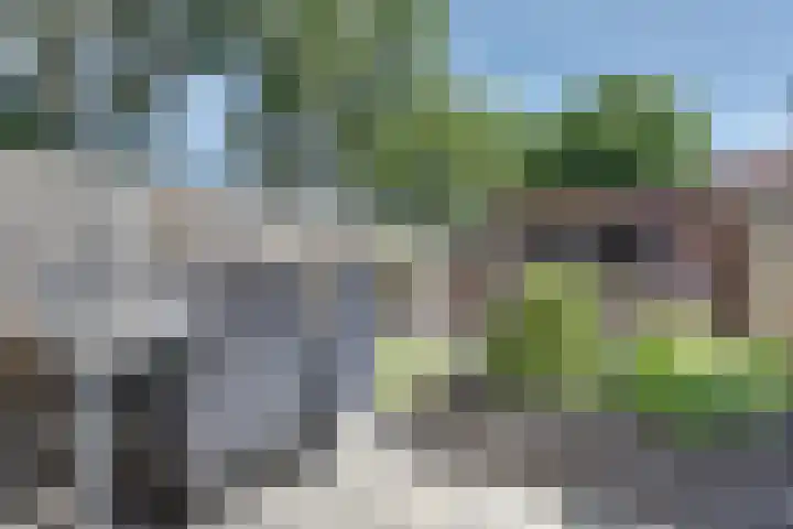 Linzenakker 4 Waddinxveen thumbnail 25