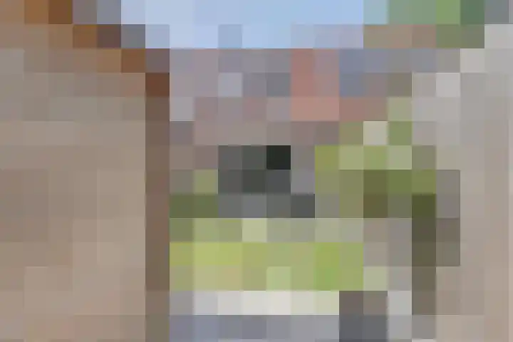Linzenakker 4 Waddinxveen thumbnail 27