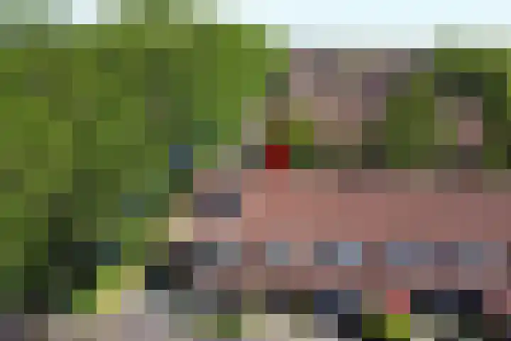 Linzenakker 4 Waddinxveen thumbnail 32