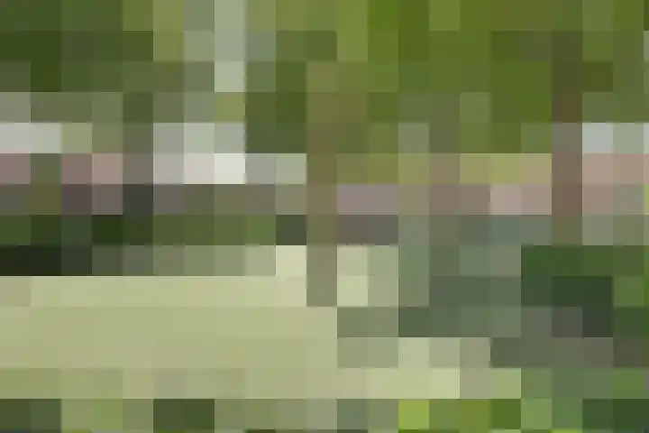 Linzenakker 4 Waddinxveen thumbnail 34