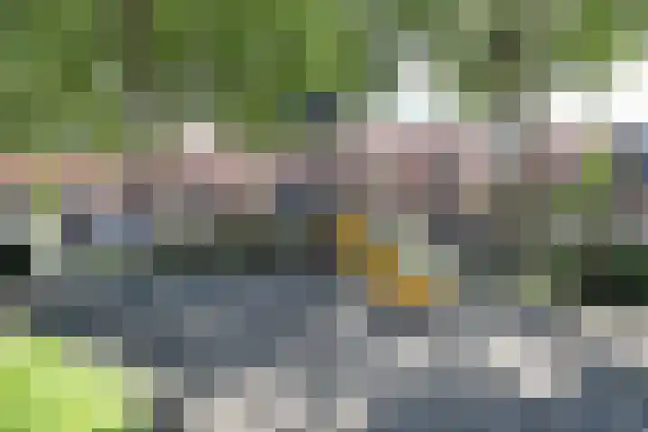 Linzenakker 4 Waddinxveen thumbnail 35
