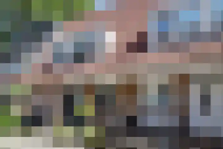 Linzenakker 4 Waddinxveen thumbnail 6
