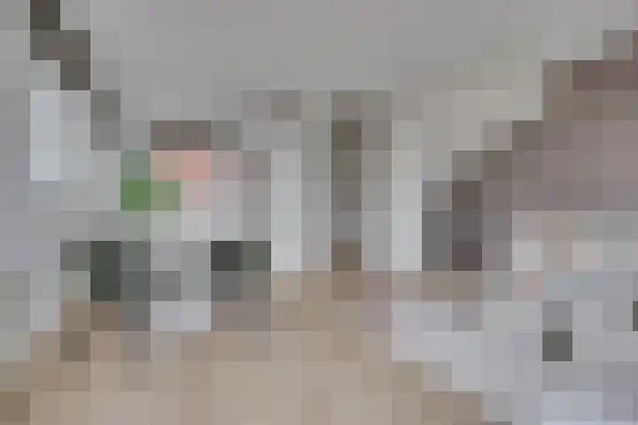 Lion Cachethof 14 Vreeland thumbnail 10