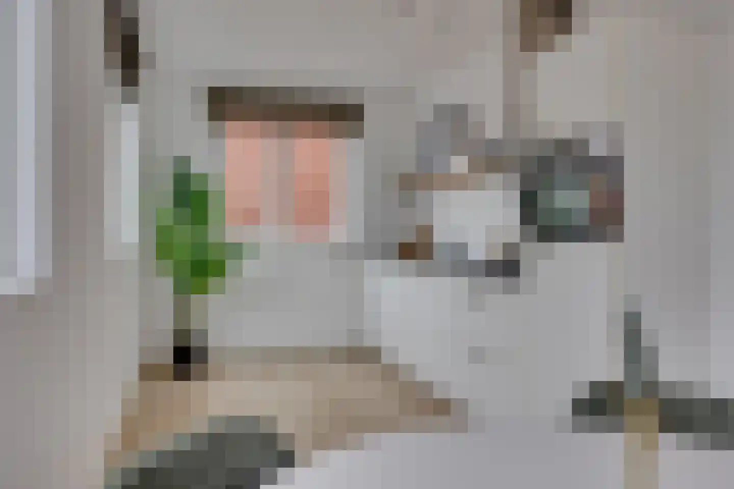 Lion Cachethof 14 Vreeland thumbnail 11