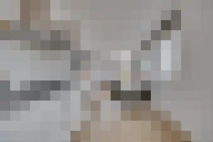Lion Cachethof 14 Vreeland thumbnail 12