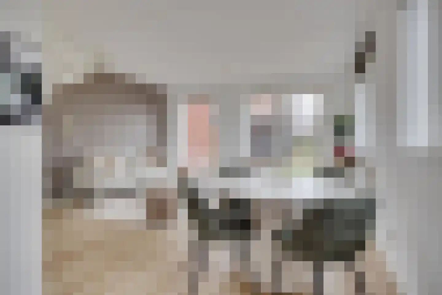 Lion Cachethof 14 Vreeland thumbnail 13