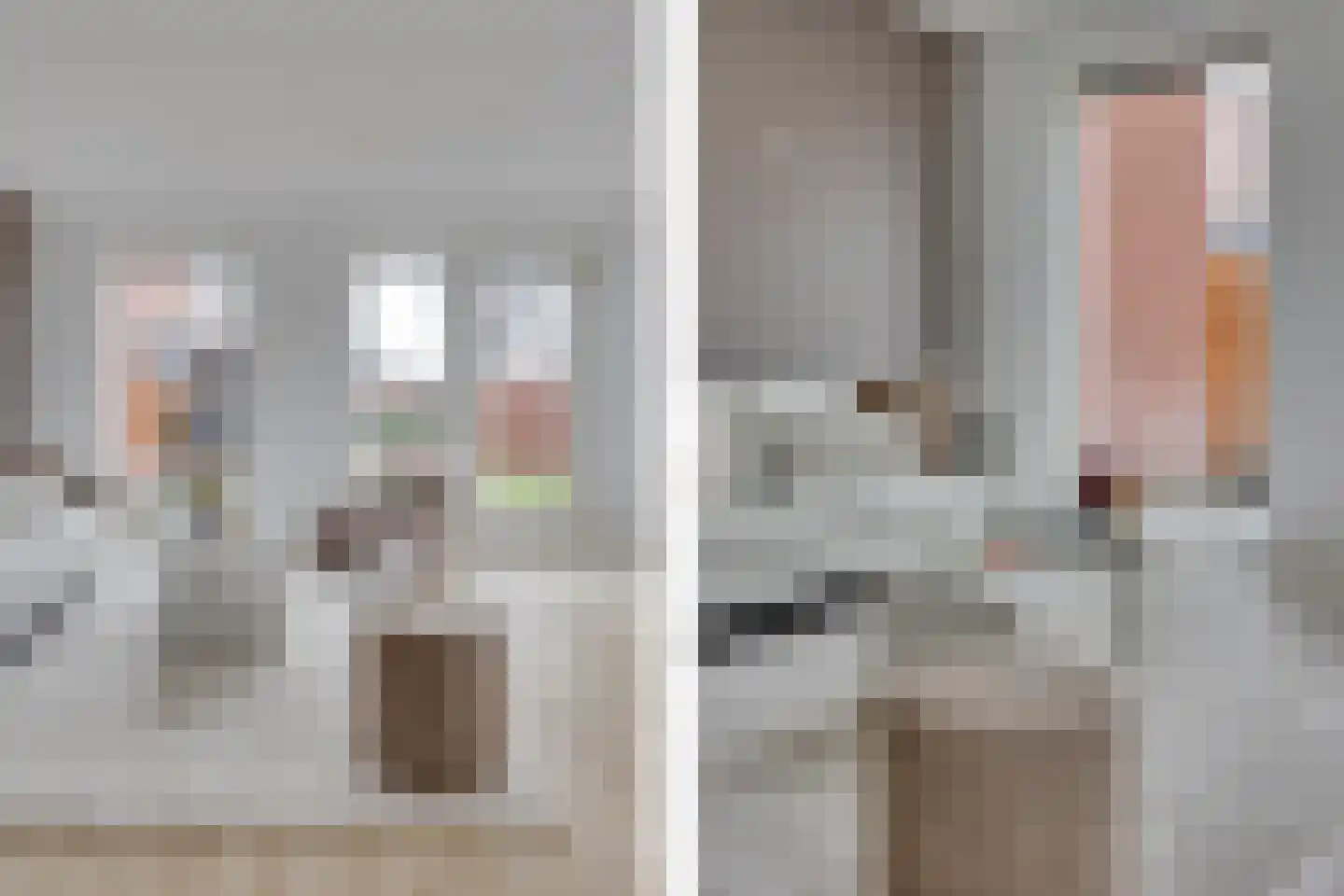 Lion Cachethof 14 Vreeland thumbnail 14
