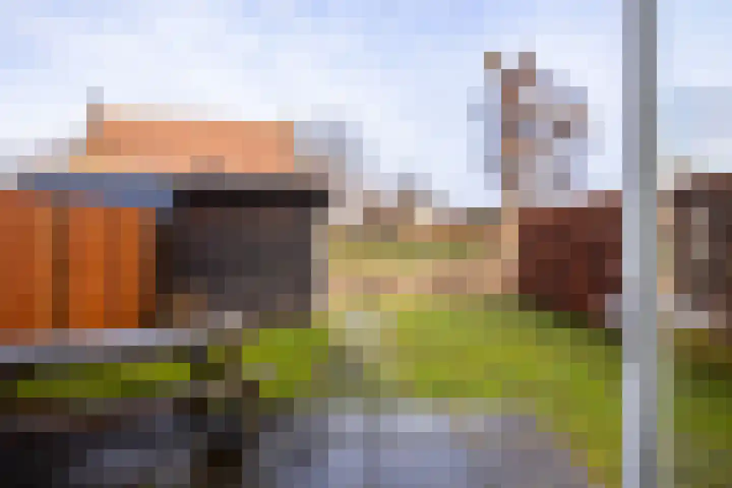 Lion Cachethof 14 Vreeland thumbnail 15