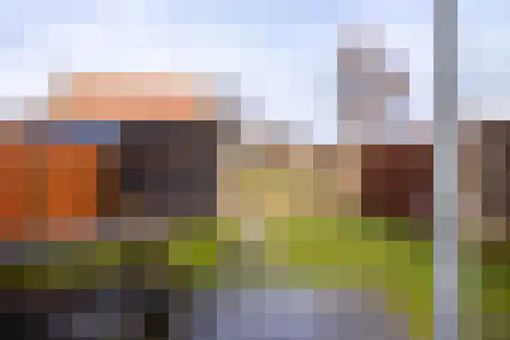 Lion Cachethof 14 Vreeland thumbnail 15
