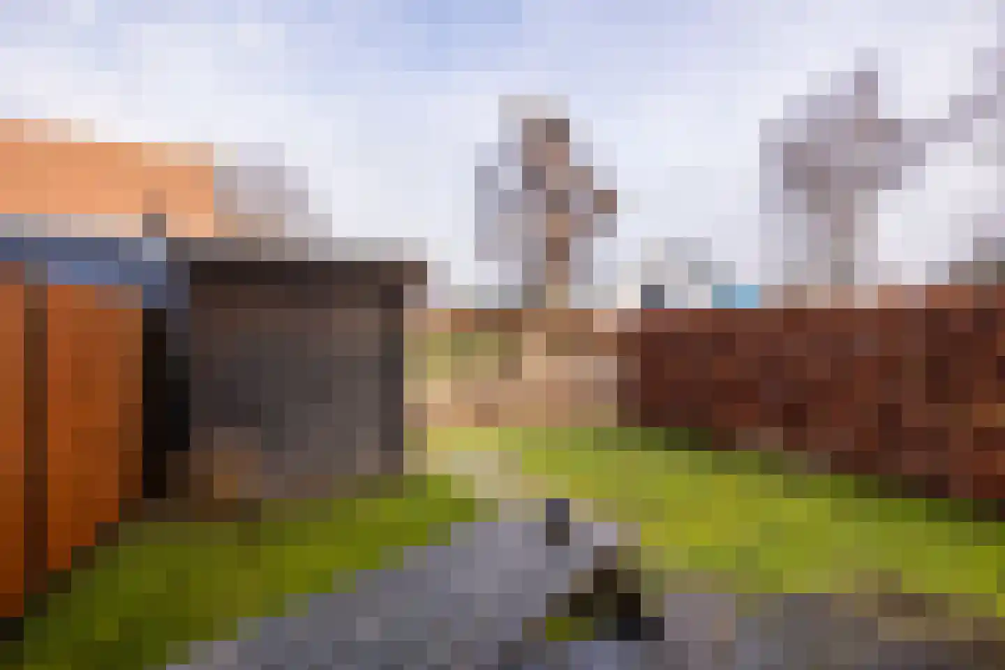 Lion Cachethof 14 Vreeland thumbnail 16