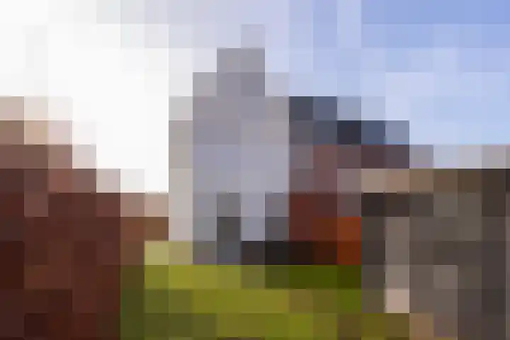 Lion Cachethof 14 Vreeland thumbnail 17