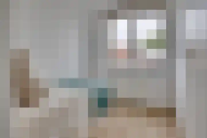 Lion Cachethof 14 Vreeland thumbnail 19