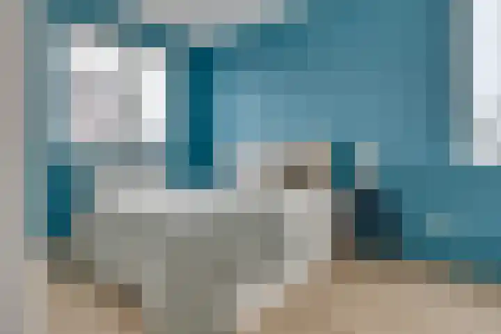 Lion Cachethof 14 Vreeland thumbnail 20