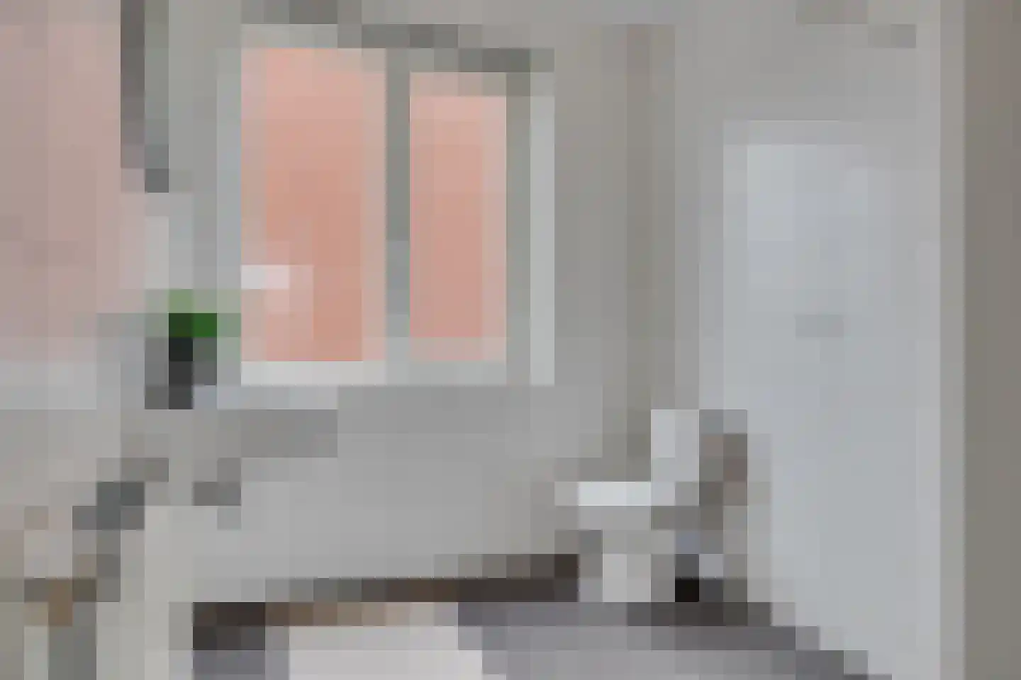 Lion Cachethof 14 Vreeland thumbnail 23