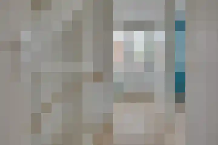 Lion Cachethof 14 Vreeland thumbnail 25