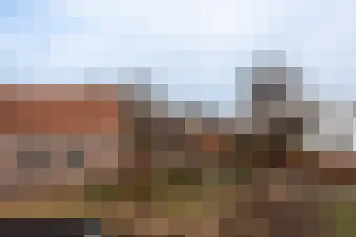 Lion Cachethof 14 Vreeland thumbnail 30