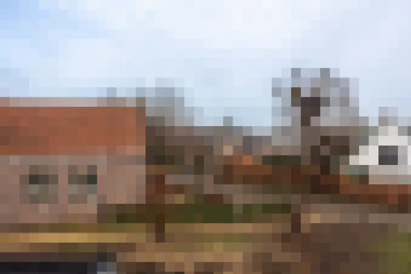 Lion Cachethof 14 Vreeland thumbnail 30