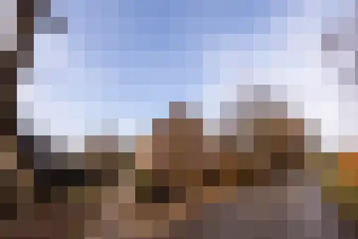 Lion Cachethof 14 Vreeland thumbnail 32