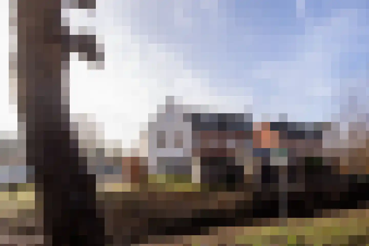 Lion Cachethof 14 Vreeland thumbnail 33