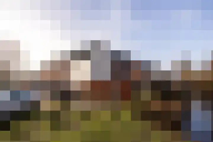 Lion Cachethof 14 Vreeland thumbnail 34