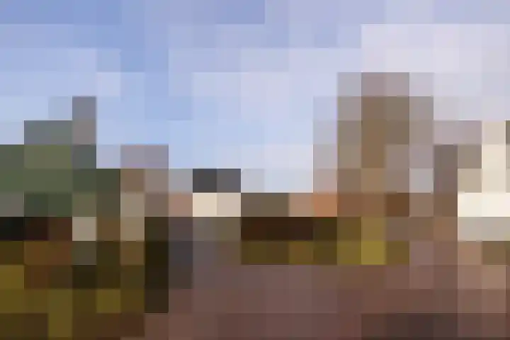 Lion Cachethof 14 Vreeland thumbnail 35