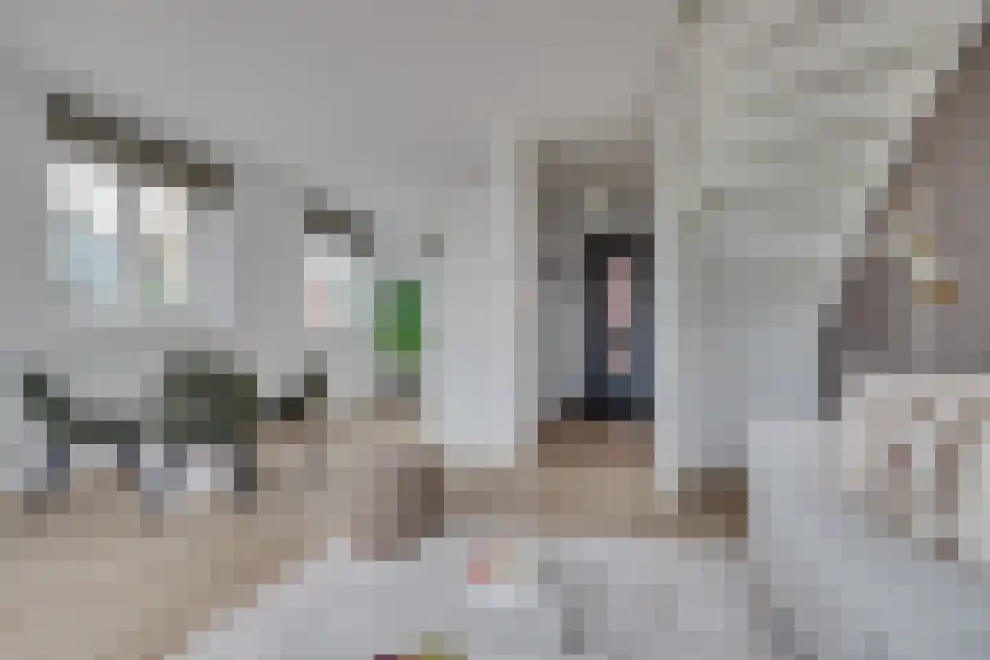 Lion Cachethof 14 Vreeland thumbnail 8