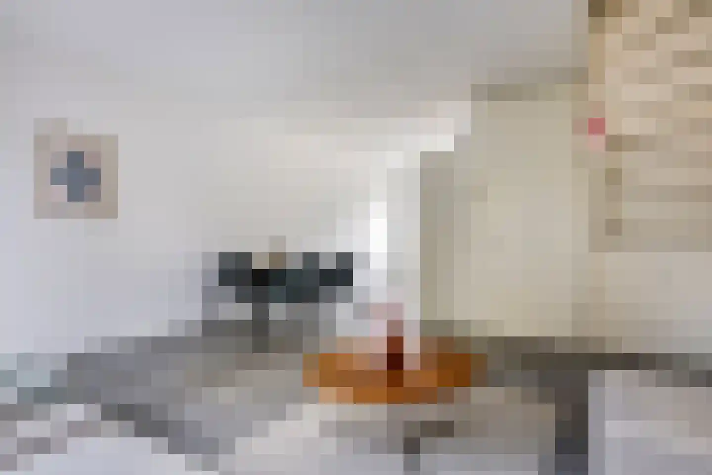 Lion Cachethof 20 Vreeland thumbnail 10