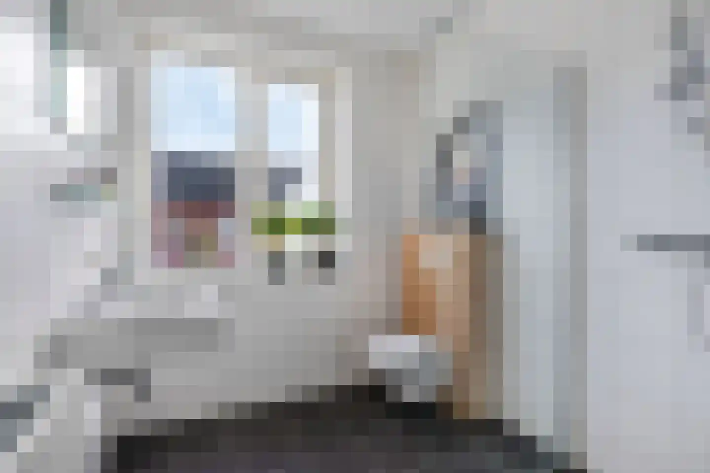 Lion Cachethof 20 Vreeland thumbnail 21